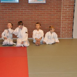 DSC 0077  Medium - Judoclub Zaventem 
